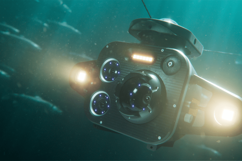 Engineer the next generation of fish health monitoring image