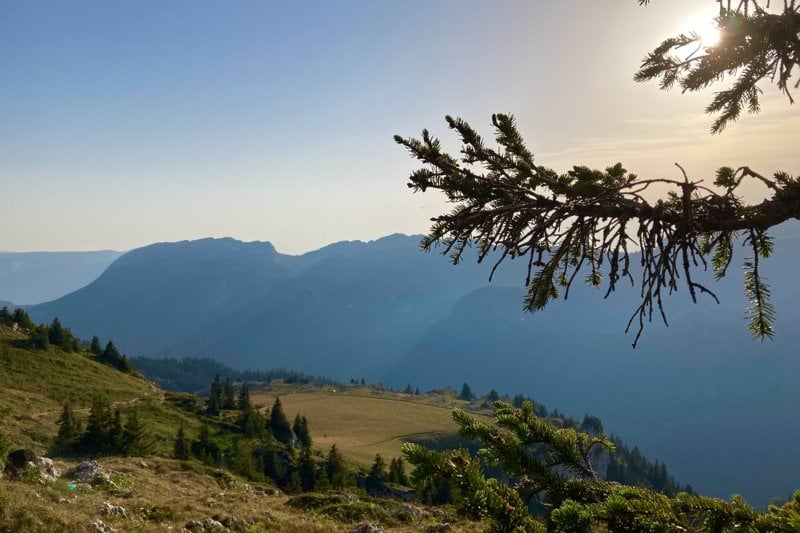 Representante Comercial - Biofertilizantes y Bioestimulantes image