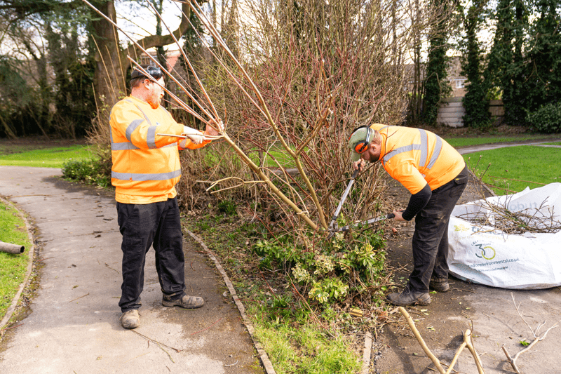 Estates Cleaner (12m FTC) image