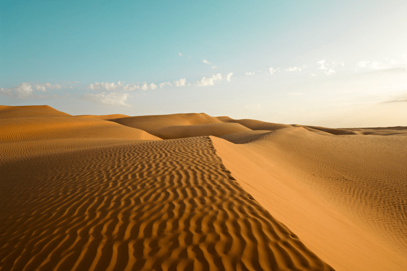 Reiserådgiver på Gran Canaria image