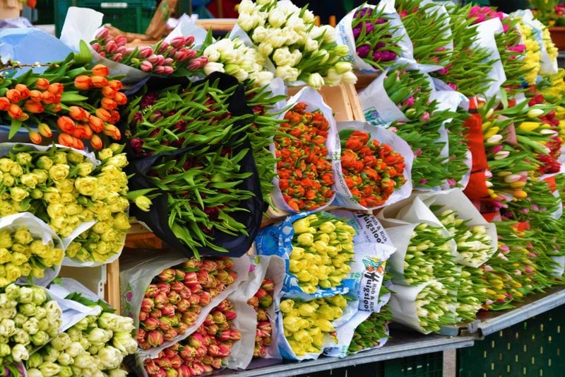 Butikssäljare - Blomsterlandet, Uppsala image