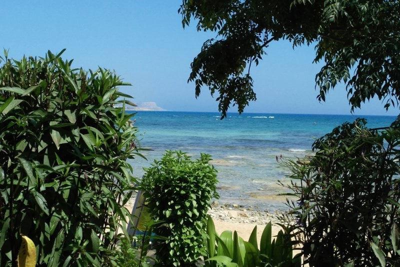 B2B-säljare inom telekomlösningar på Cypern image