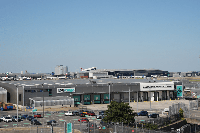 Director of Solution Delivery image