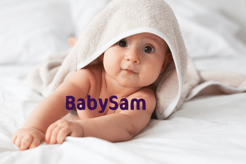 Training Manager til BabySam image