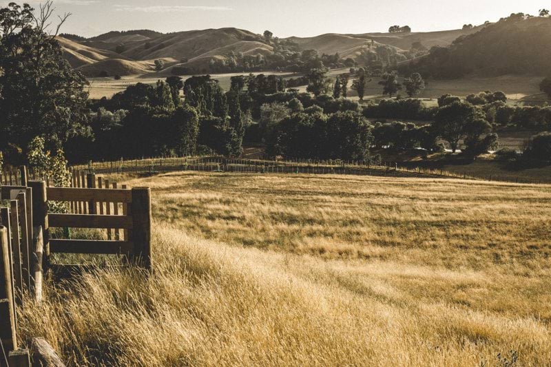 Content Director - Rural, Sport, Hokonui and Radio Wānaka image