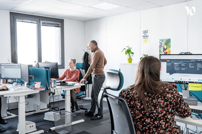 Software Consultant image