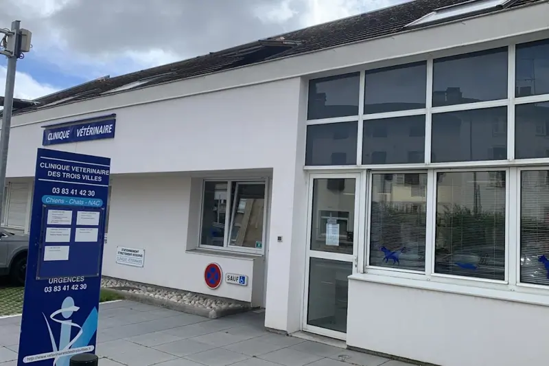 NANCY - CLINIQUE VETERINAIRE DES TROIS VILLES – VETERINAIRE CANIN CDI H/F image