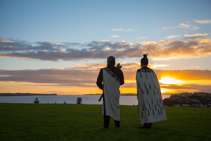 Whakapapa & Hapū Database Support image