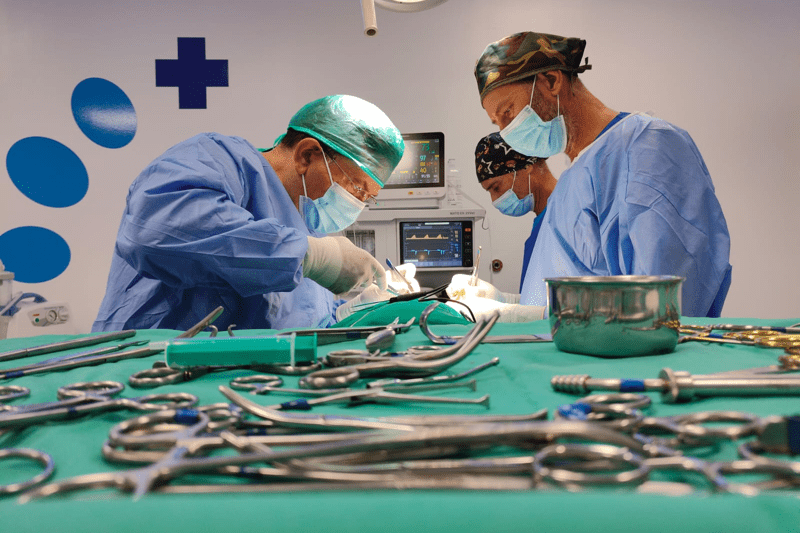 Veterinario/a Generalista Día con cirugía tejidos blandos Madrid image