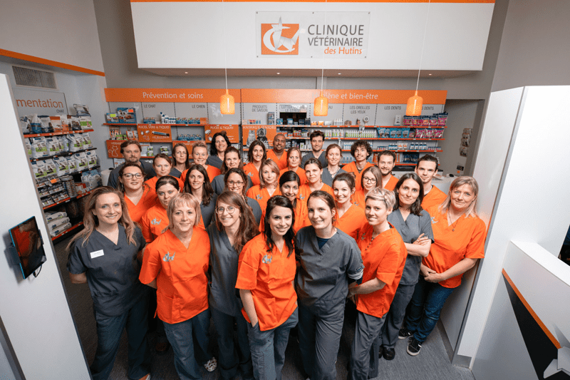 HUTINS - PROCHE GENEVE - VETERINAIRE SPECIALISTE EN MEDECINE INTERNE ECVIM (H/F) image