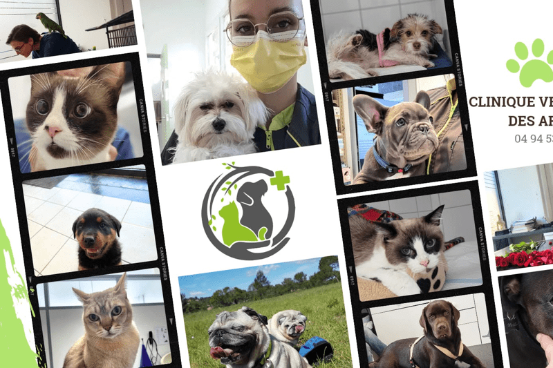 Fréjus - Arènes - Vétérinaire généraliste - CDI (H/F) image