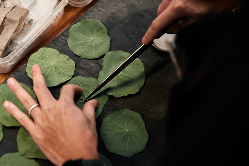 Chef at noma image