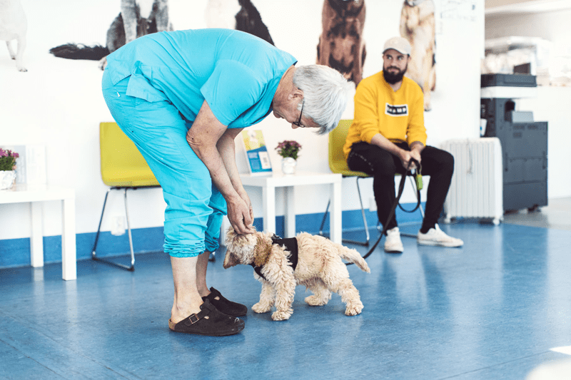 EMPET Skedsmo Dyresykehus søker resepsjonist image