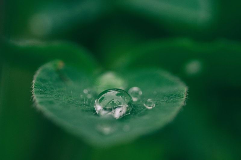 Water Use Licence Specialist image