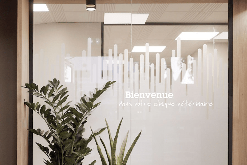 VETERINAIRE - DIRECTEUR DE CLINIQUE H/F - REGION IDF image