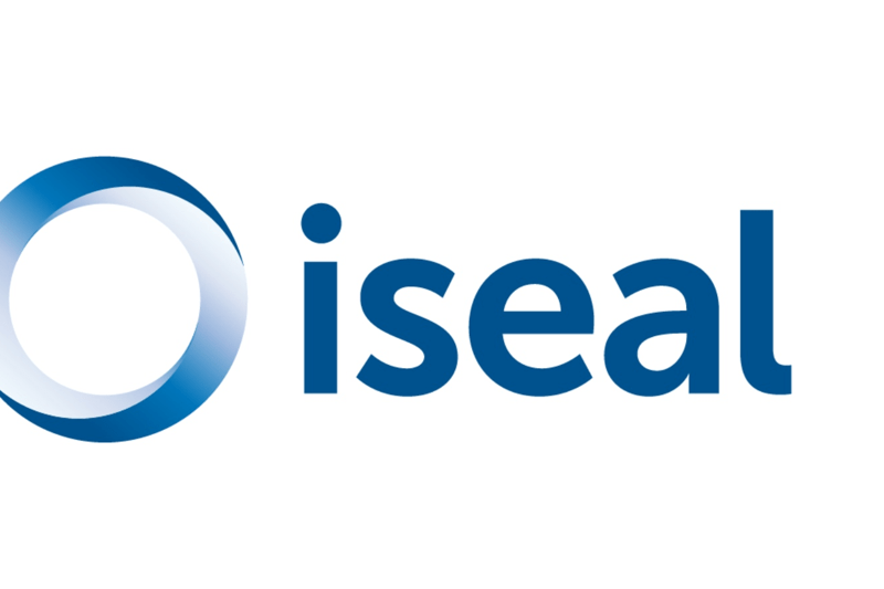 ISEAL - Chair of the Board image