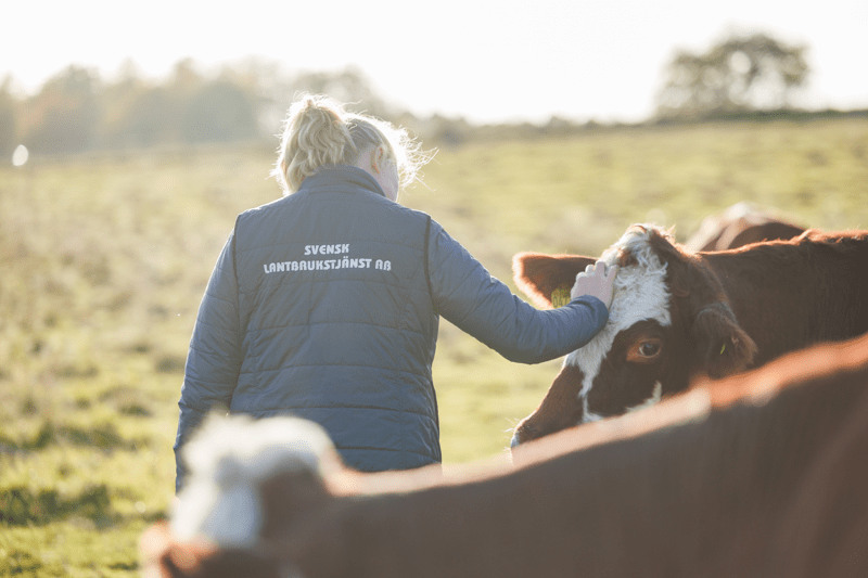 LANTBRUKSANSVARIG TILL KONVEX AB image