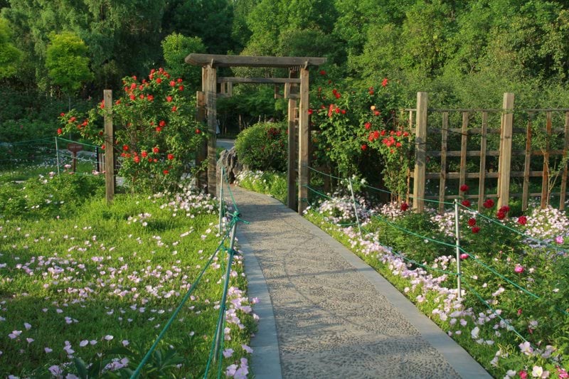 Truckförare - Blomsterlandet, Skellefteå image