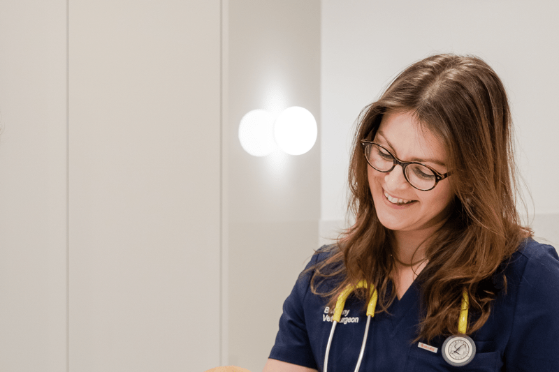 Veterinary Surgeon - London Fields image
