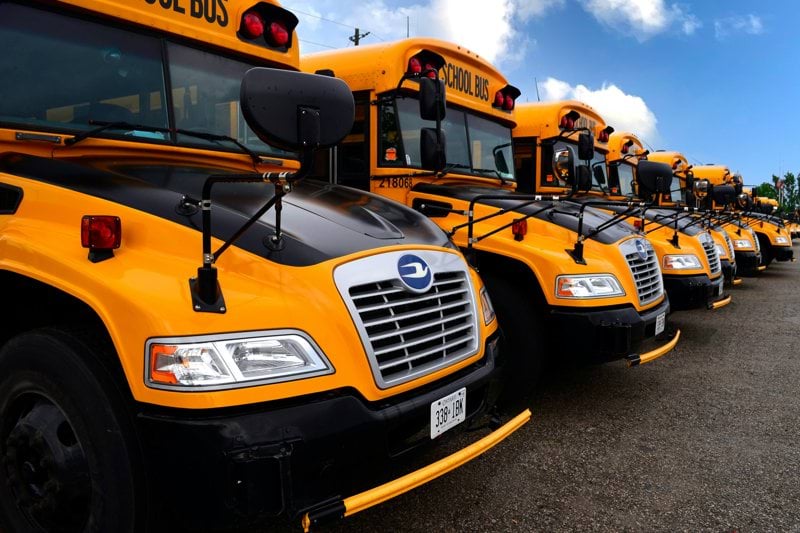 Bus Driver image