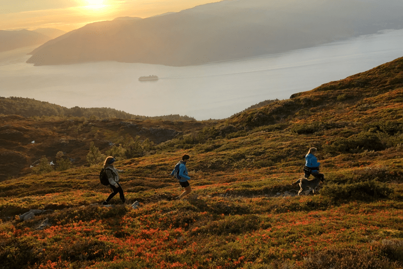 Where Curiosity, Conversations, and Growth Come Together image