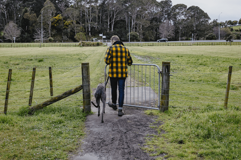 Animal Control Officer image