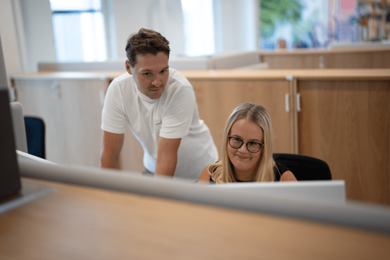 Järjestelmäinsinööri image