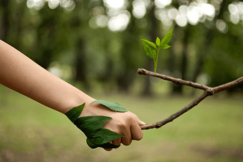 Maskinlärare/instruktör (skog) till Naturbruksgymnasiet Kalmar image