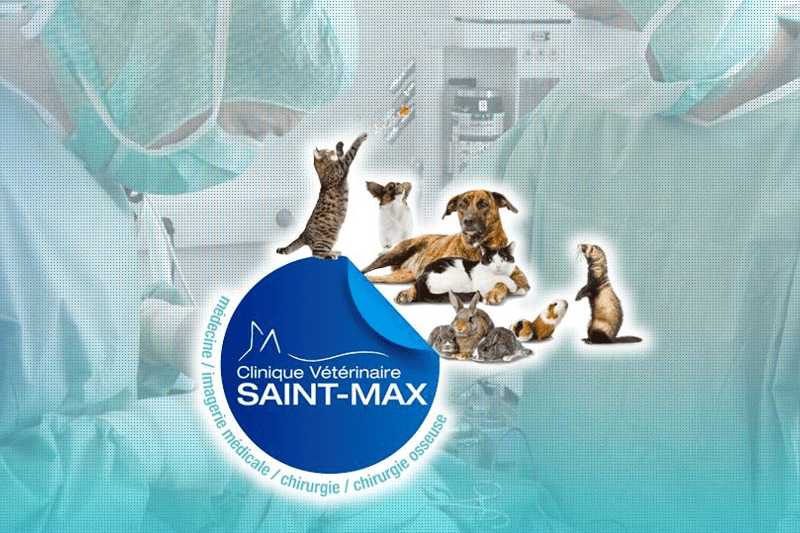 NANCY - SAINT MAX - DIRECTEUR DE CLINIQUE VETERINAIRE - CDI H/F image