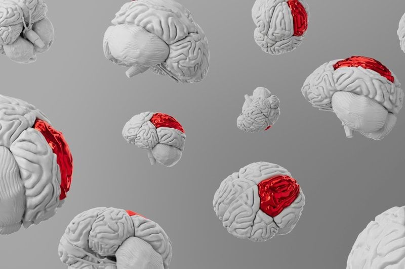 Docentes especialistas en Neuropsicología y Educación image