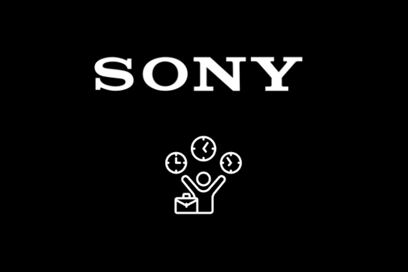 Sony Flexpool image