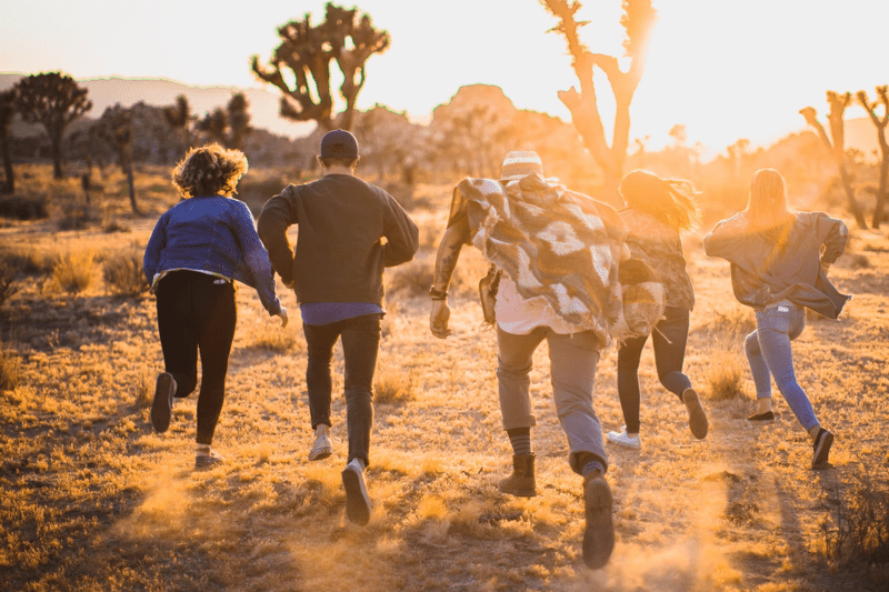 ServiceNow Project & Delivery Manager image