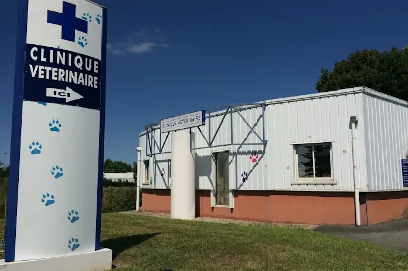 CLINIQUE LUY DE BEARN - VETERINAIRE GENERALISTE (H/F) - CDD image