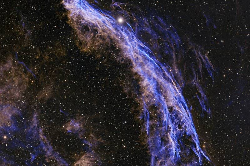 Data Management Trainee image