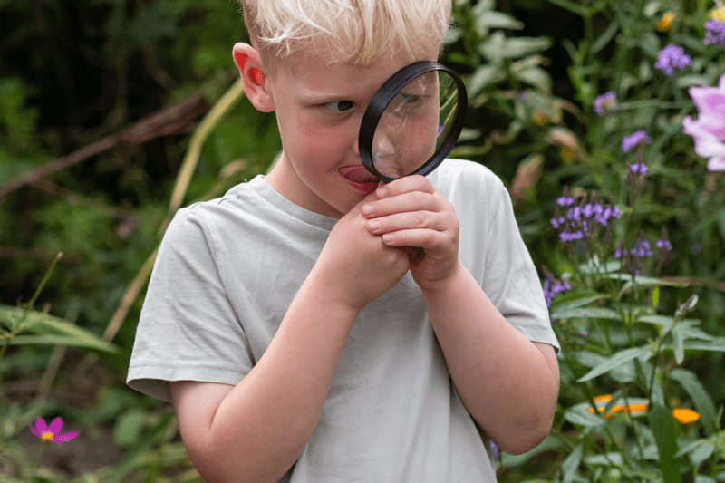 Pedagogisch professional | 16-20 uur per week image