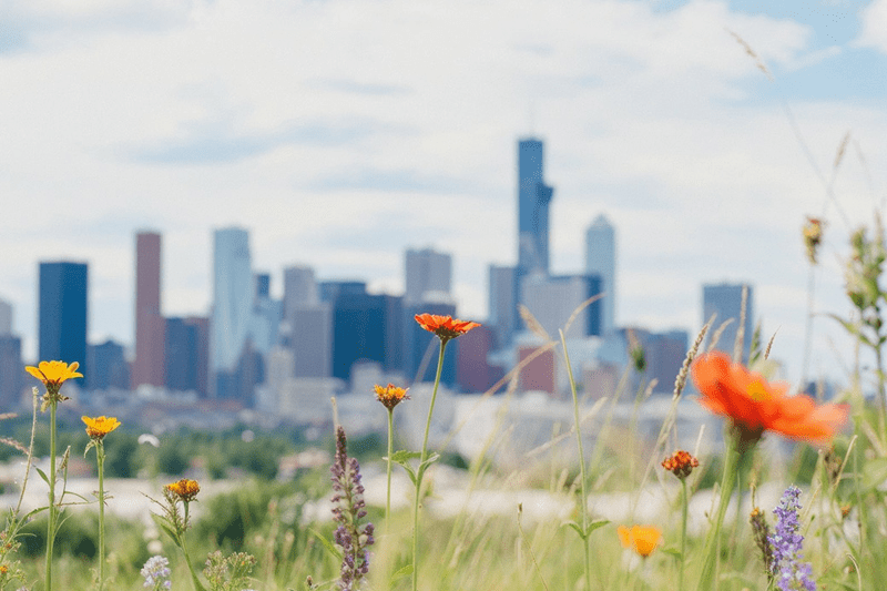 Senior HR Business Partner - International image