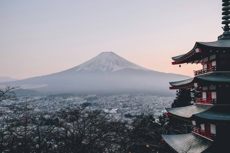 Tour Leader (Insider - Japan) image