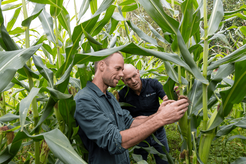 Inspecteur biologische landbouw image