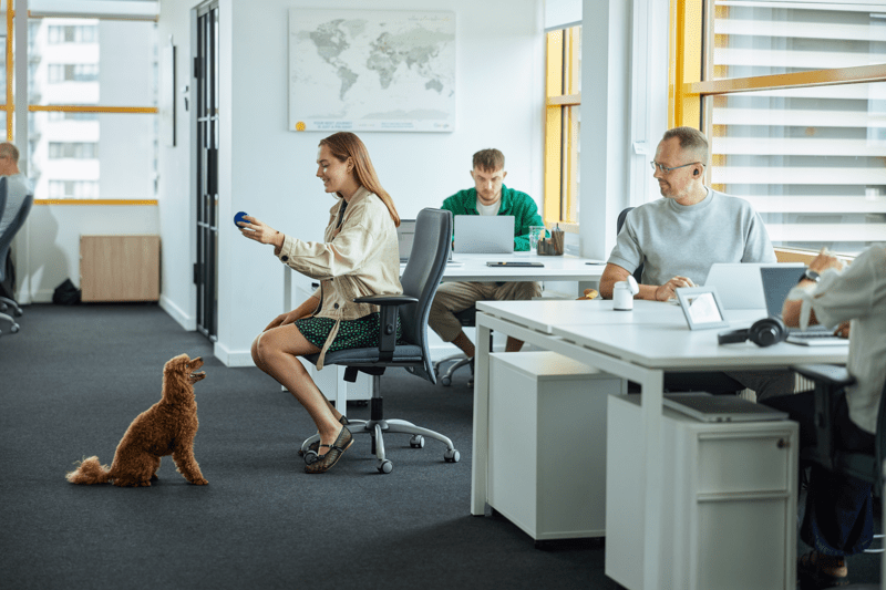 Klientų patirties vadybininkė (-as) image