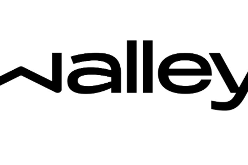 Client Executive image