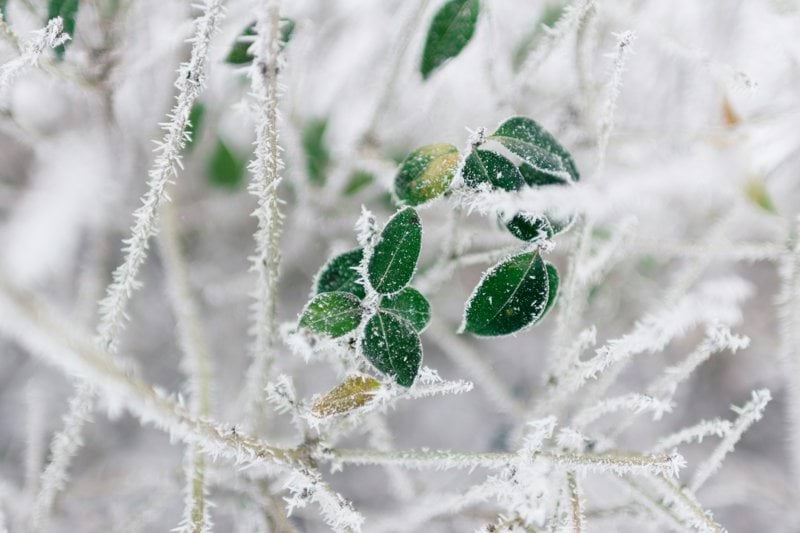 Lääkäri - Kajaani image