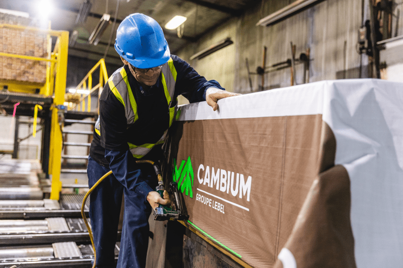 Journalier.ère - Lebel Cambium Dégelis image