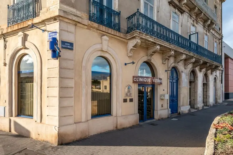 SETE - TIVOLI - VETERINAIRE EN CDD (H/F) image