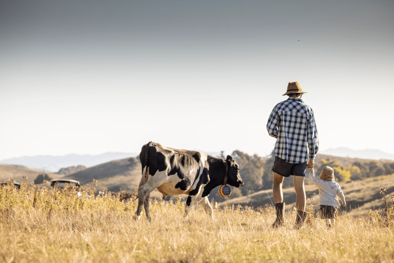 Sales & Engagement Specialist - Livestock Tech image