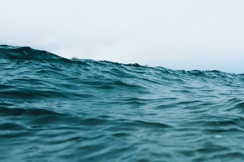 Marine Field Sales Manager image