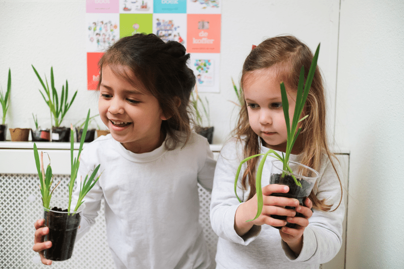 Huishoudelijk medewerker kinderopvang 20-32 uur image