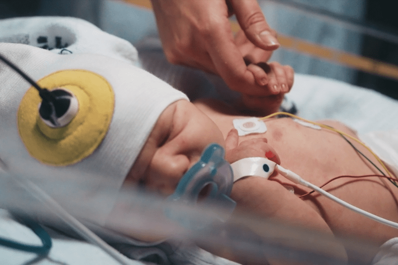 QA & RA Specialist image