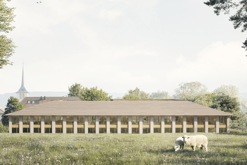 Senior Entwurfsarchitekt:in 80-100% image