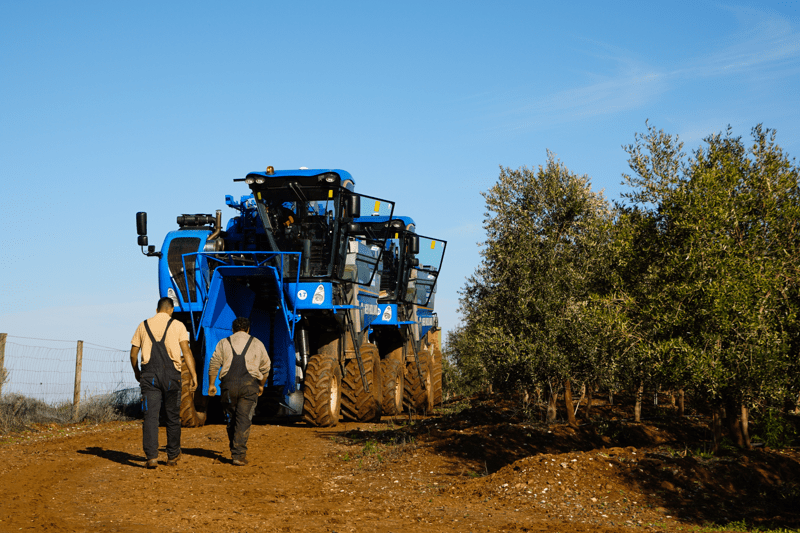 Técnico/a de Campo Olivar (Córdoba) image