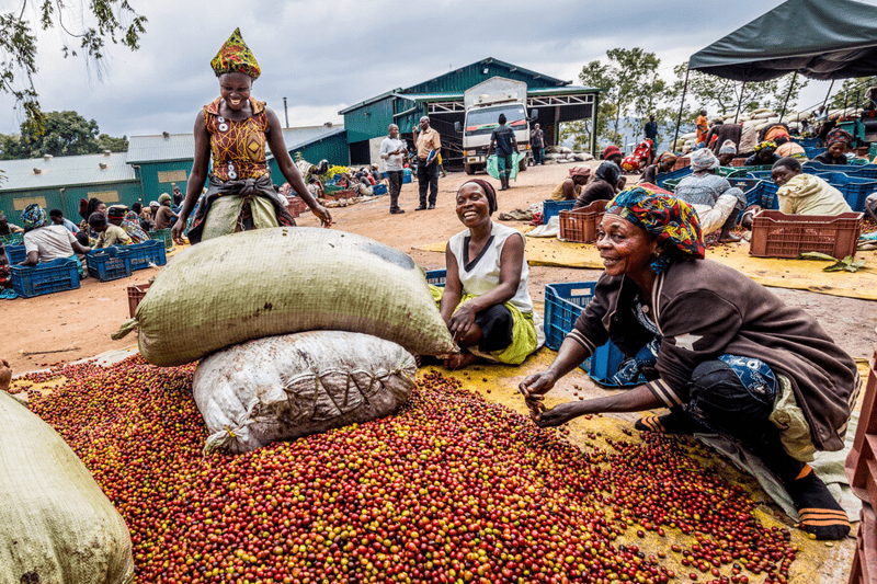 Head of Finance image